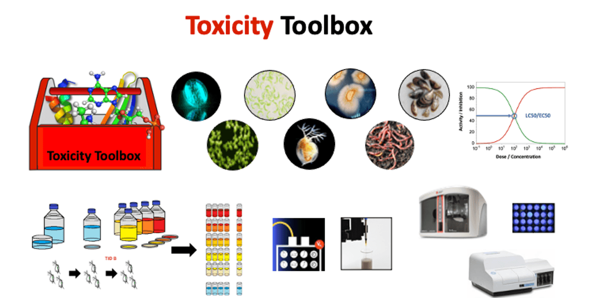 Toxicity Toolbox 